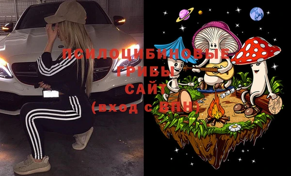 mdma Богданович
