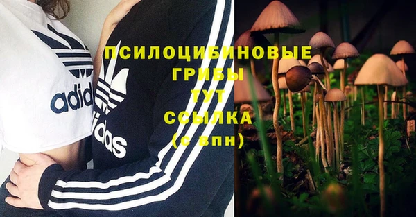 Альфа ПВП Богородск