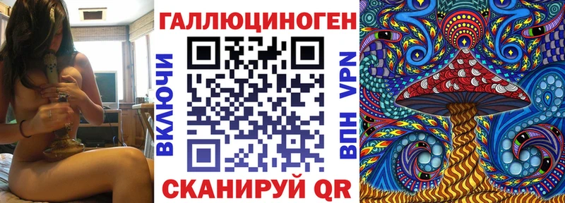 Галлюциногенные грибы Cubensis  что такое   Заинск 
